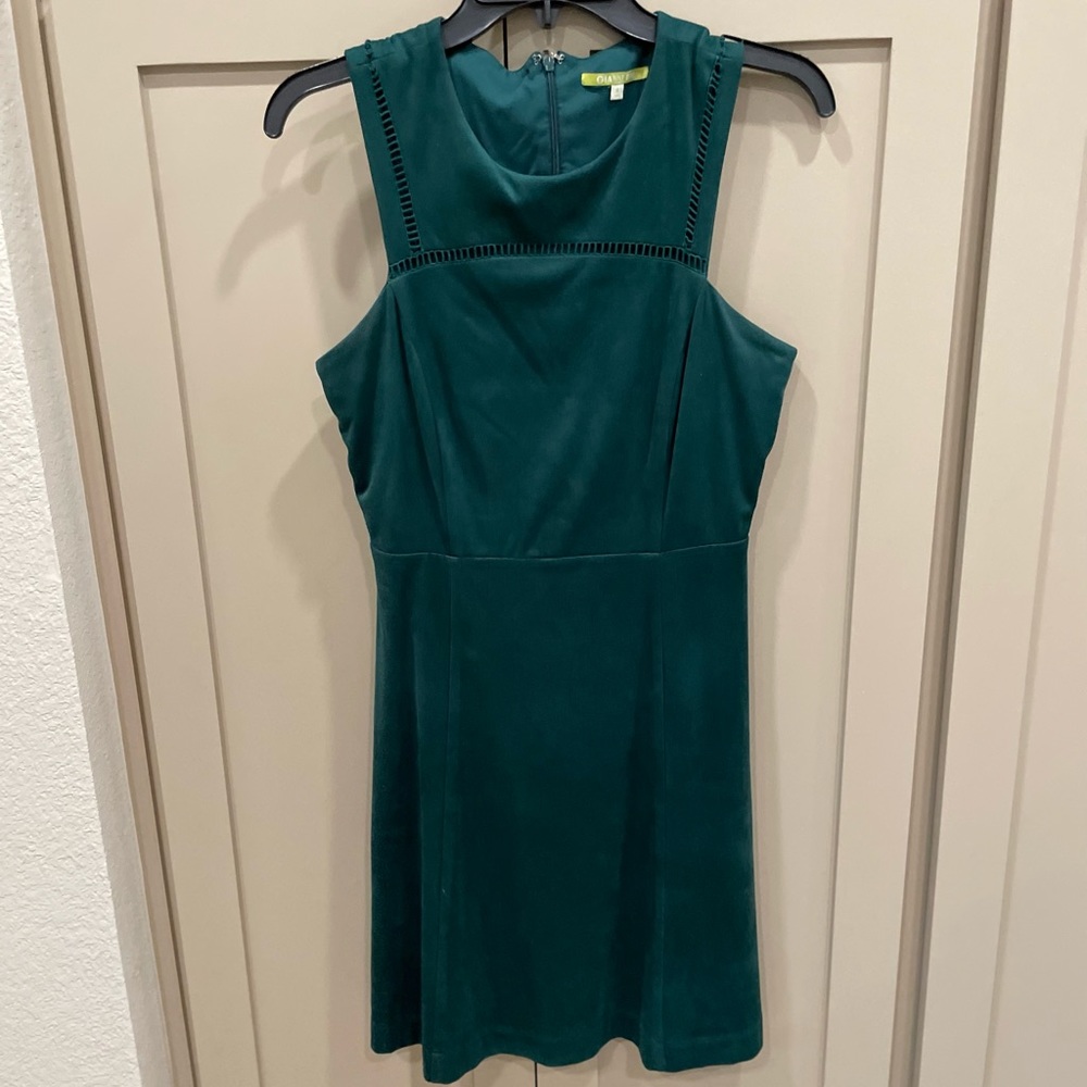 Hunter green velour Gianni Bini dress